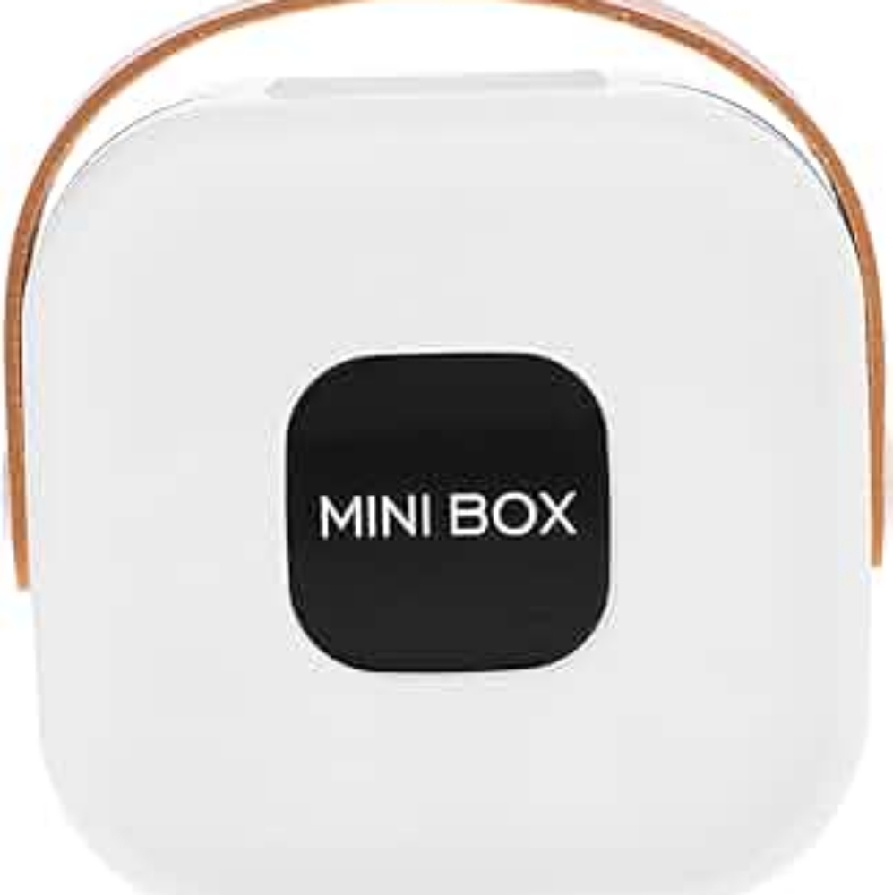 Portable Organizer for Travel Compact and Lightweight Jewelry Box (White)
